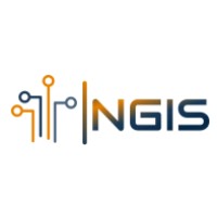 NGIS LLC logo - Similar company to Holistic Analytics