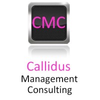 Callidus Management Consulting Ltd logo - Similar company to Cmsg