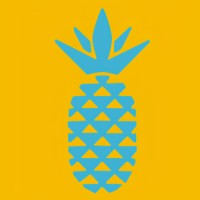 Pineapple Pools logo - Similar company to Hype Pharm