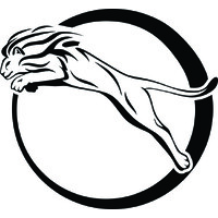 RAJA EXPRESS LLC logo - Similar company to Technotrant Consultancy