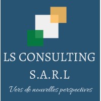 LS Consulting S.A.R.L logo - Similar company to Sai Sky Trading