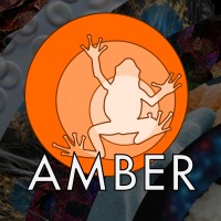 AMBER Postdoctoral Programme logo - Similar company to Cryoem Facility Csic