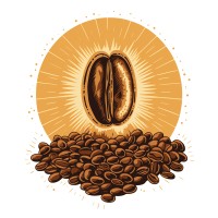 Bravo'S Bean