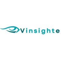 Vinsighte Limited logo - Similar company to Suwk Technologies