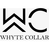 Whyte_collar logo - Similar company to Virtual Cfo Connect