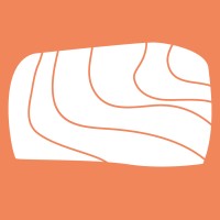 Somon Teknoloji logo - Similar company to Flybit