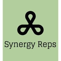 Synergy Reps LLC logo - Similar company to Wheelbuilder