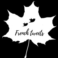 French tweets logo - Similar company to Convergensee