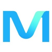 Mafra logo - Similar company to Viveo