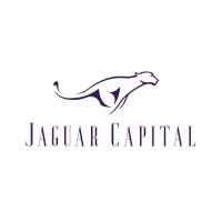 Jaguar Capital logo - Similar company to Infusion Technology