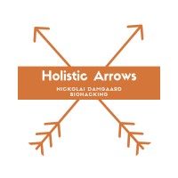Holistic Arrows logo - Similar company to The High Performance Tribe - Powered By Biowatch