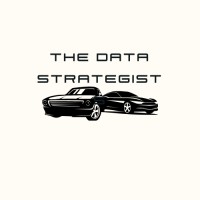 The Data Strategists logo - Similar company to Data Trends Agency