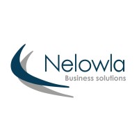 Nelowla Business Solutions logo - Similar company to Propiteer