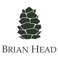 Brian Head Town logo - Similar company to Nth, New Tiny House