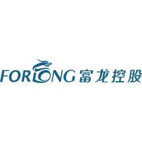 Forlong Holdings 富龙控股集团 logo - Similar company to 梨视频