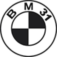 BM31 logo - Similar company to Alcyde