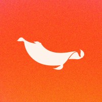 Magic Carpet logo - Similar company to Statezero Labs