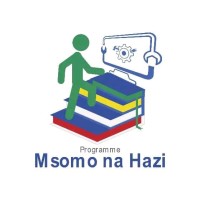 Msomo Na Hazi logo - Similar company to Be Yourself