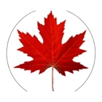 Maple Leaf Consulting logo - Similar company to Maple Leap Groups