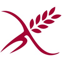 Asociación de Celiacos y Sensibles al Gluten. Comunidad de Madrid logo - Similar company to Idio Web Services