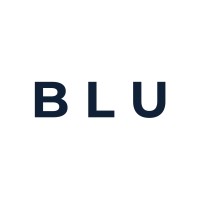 Blu logo - Similar company to Whitebridge Advisory Ltd
