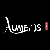 Lumens Group logo - Similar company to Futurify