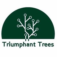 Triumphant Trees logo - Similar company to Meaningful Solutions Ltd