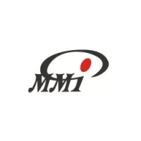 MMI Softwares Pvt. Ltd. logo - Similar company to Sssoftsolutions