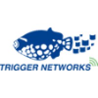 Trigger Networks logo - Similar company to Asiss