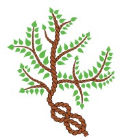 Treetied logo - Similar company to Treetech Specialist Treecare Ltd