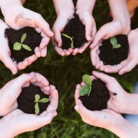 Comunidad de agilidad y auto organización de Málaga logo - Similar company to Malaga Therapy