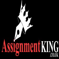 Assignment King logo - Similar company to Csi Project
