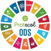 PROTECOL S.A.C. EO-RS / GESTIÓN DE RECURSOS logo - Similar company to Qtech Experience