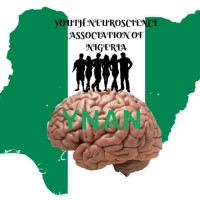 Youth Neuroscience Association of Nigeria logo - Similar company to Sinapsa