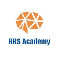 BRS Chess Academy logo - Similar company to Mir Sultan Chess Academy