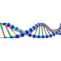 GenomicsHeadHunters.com logo - Similar company to Mygradjob