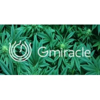 GMIRACLE SAS logo - Similar company to Allview Erasmus+ Vocational Excellence Platform