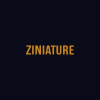 Ziniature logo - Similar company to Madnis Media