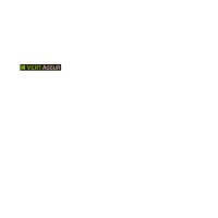 VERT ASSUR logo - Similar company to Vert Assur
