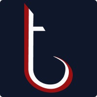 Biz-Tech Analytics logo - Similar company to Neuroweb Solutions