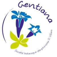 GENTIANA, société botanique dauphinoise, dominique Villars logo - Similar company to Botanique Workshop