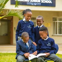 Diamond Junior School logo - Similar company to Afrobo® Lnc.