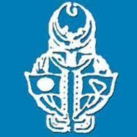 Lasifa International logo - Similar company to Wrightchoice Consultancy