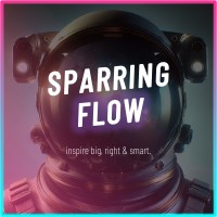 SPARRING FLOW logo - Similar company to Sparring Lab