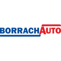 Borrachauto logo - Similar company to Genios Shop