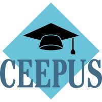 Ceepus RS 1816-02-2425 network logo - Similar company to Ceepus