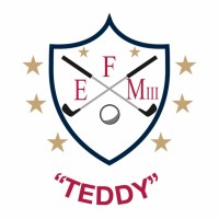 The Teddy Maloney Foundation logo - Similar company to Wings Unlimited, Inc.