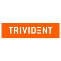 Trivident logo - Similar company to Drafthorse