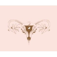 Wise Womb Foundation logo - Similar company to Holistic & Hormonal