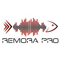 Remora Pro logo - Similar company to Embeddededge Consulting